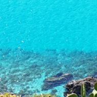 IMG-20180511-WA0006